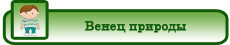 venez_prirody