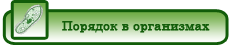 porjadok